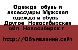 Одежда, обувь и аксессуары Мужская одежда и обувь - Другое. Новосибирская обл.,Новосибирск г.